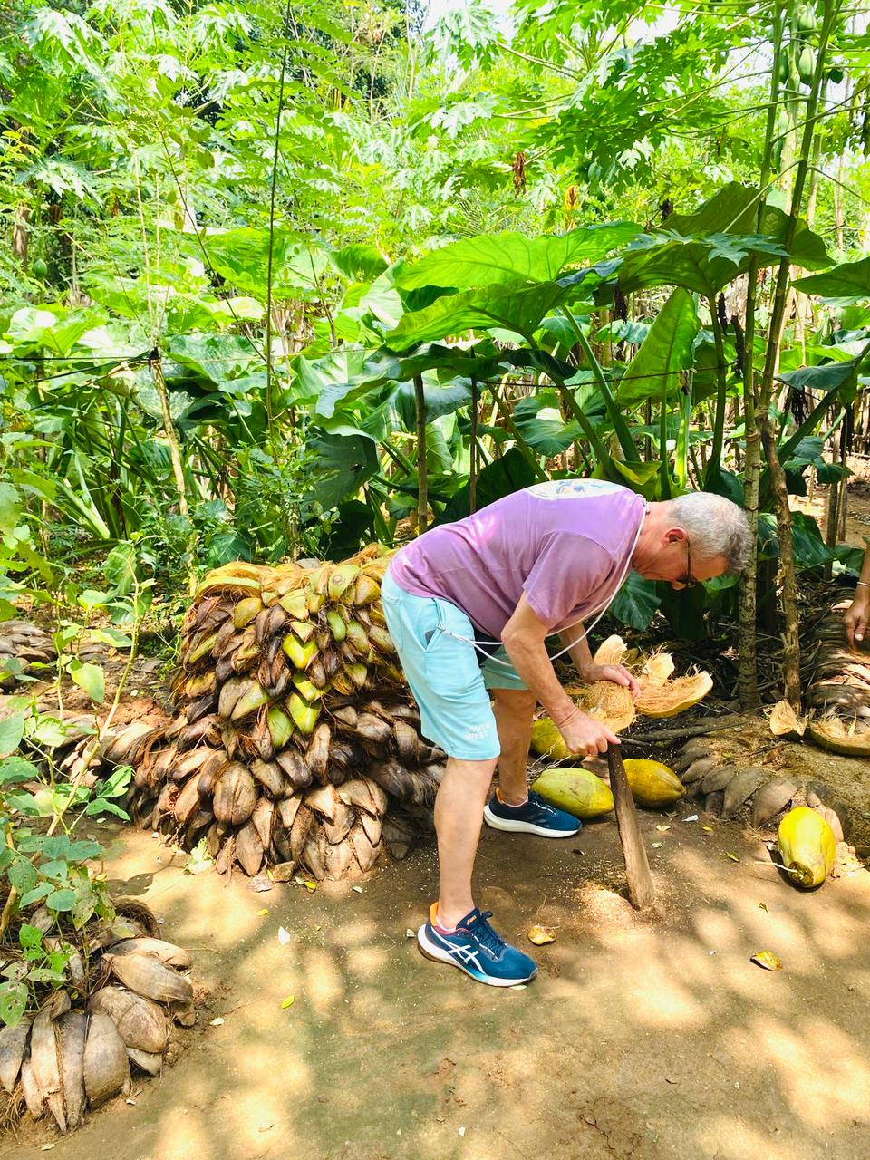 Coconut Harvest Experience in Udawalawe