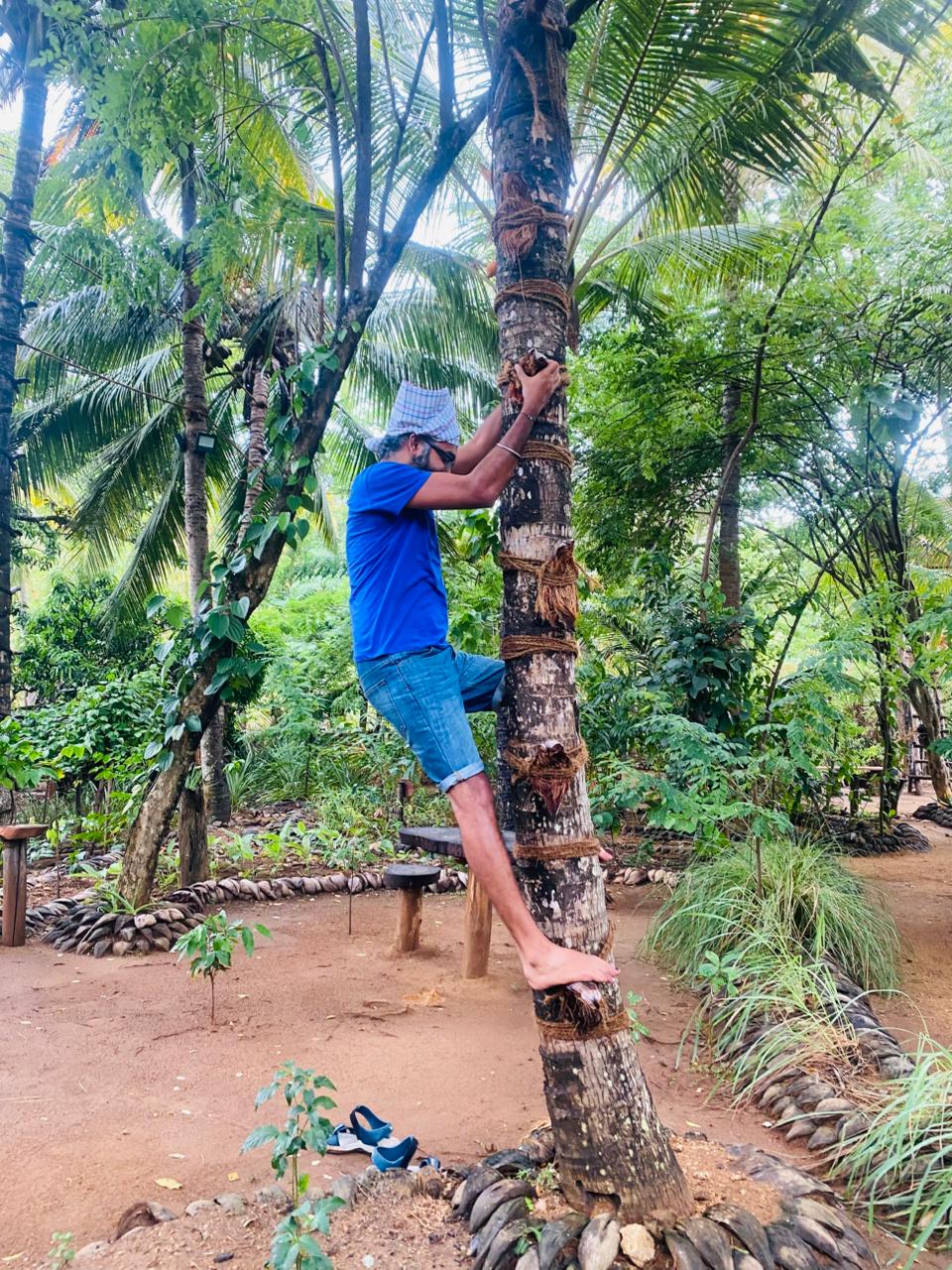 Experience Udawalawe - Authentic Experiences