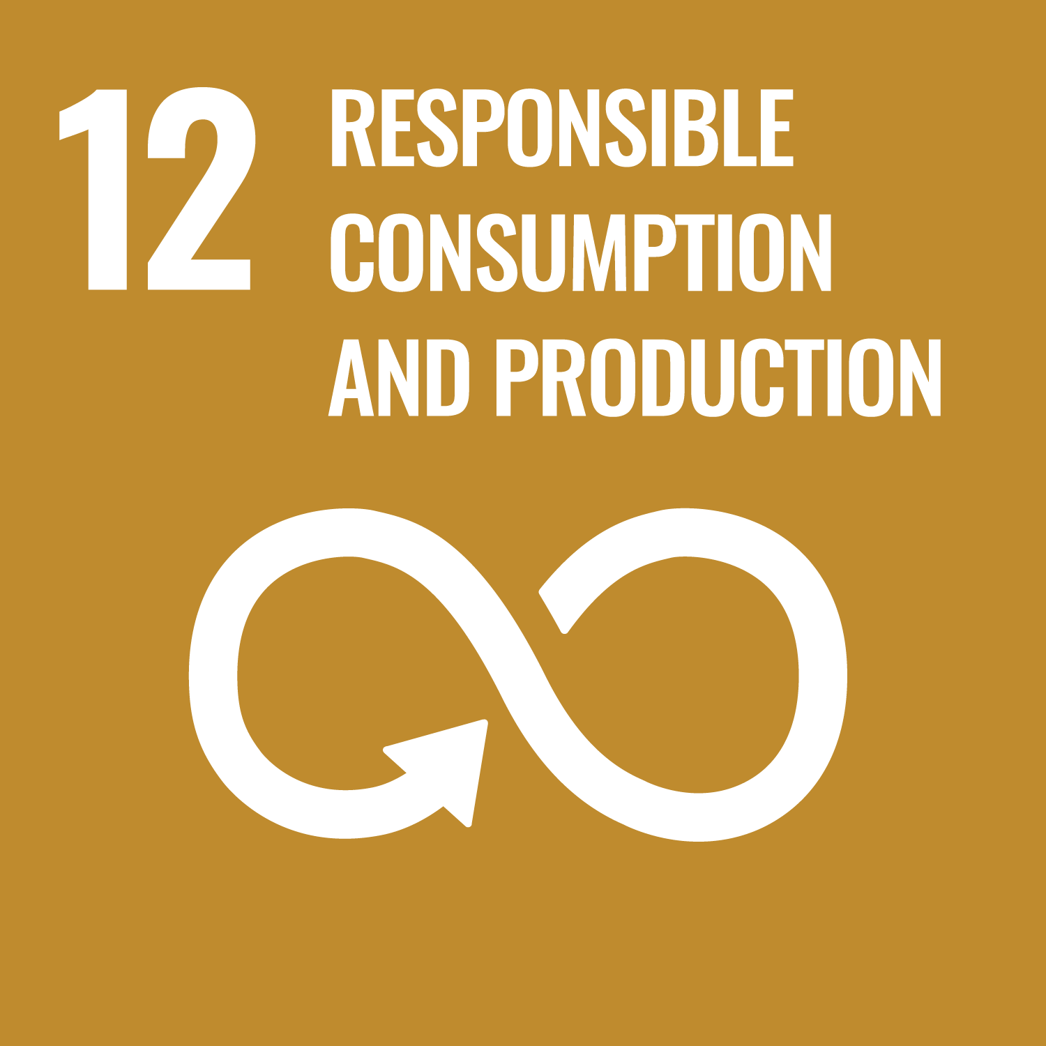 SDG 12 – Responsible Consumption & Production