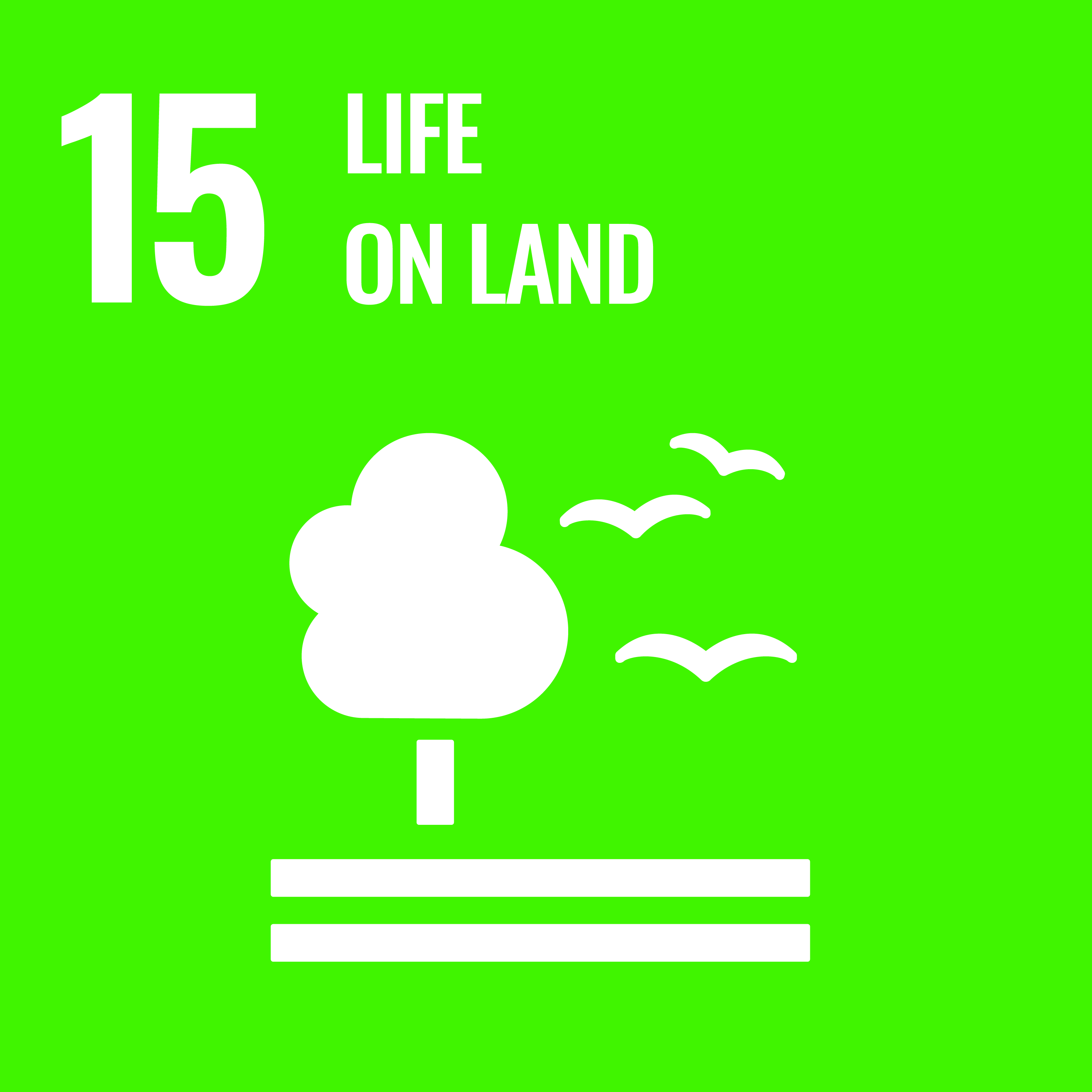SDG 15 – Life on Land