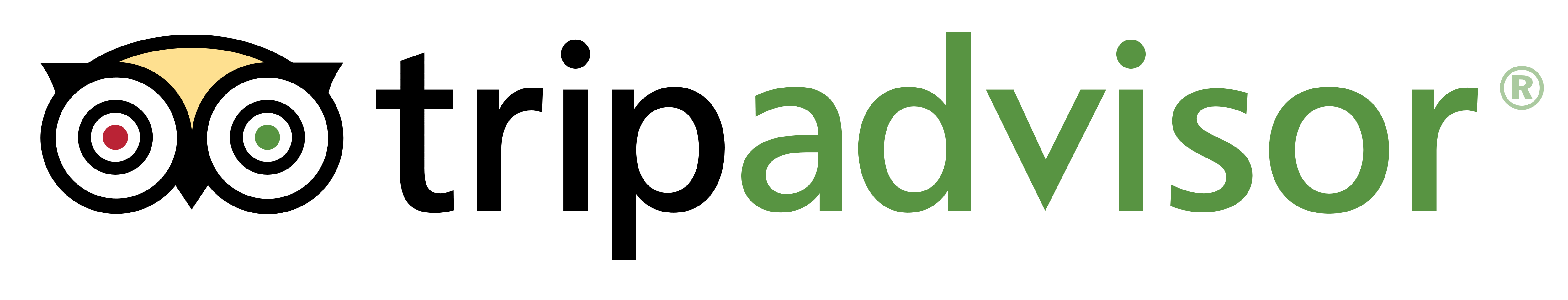 TripAdvisor Logo